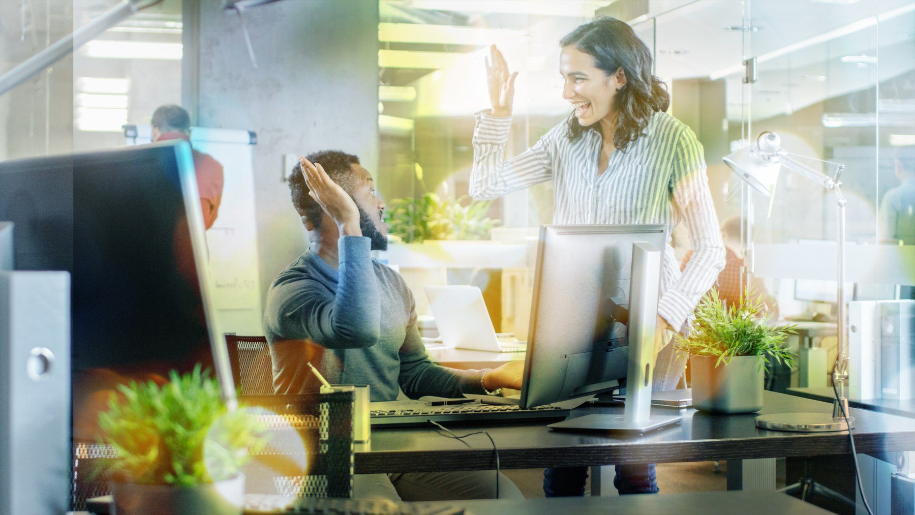 coworkers giving each other a high five at desk