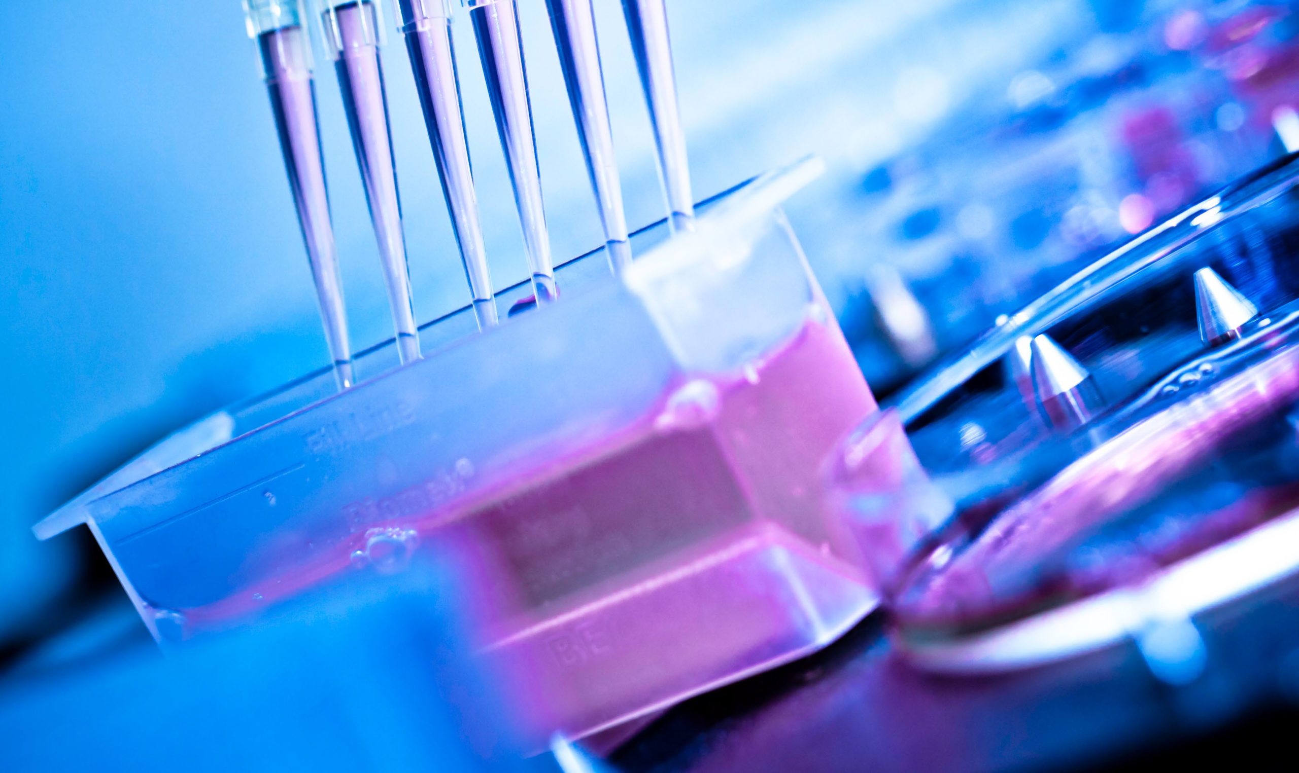 medical research in pharmaceutical factory laboratory.
